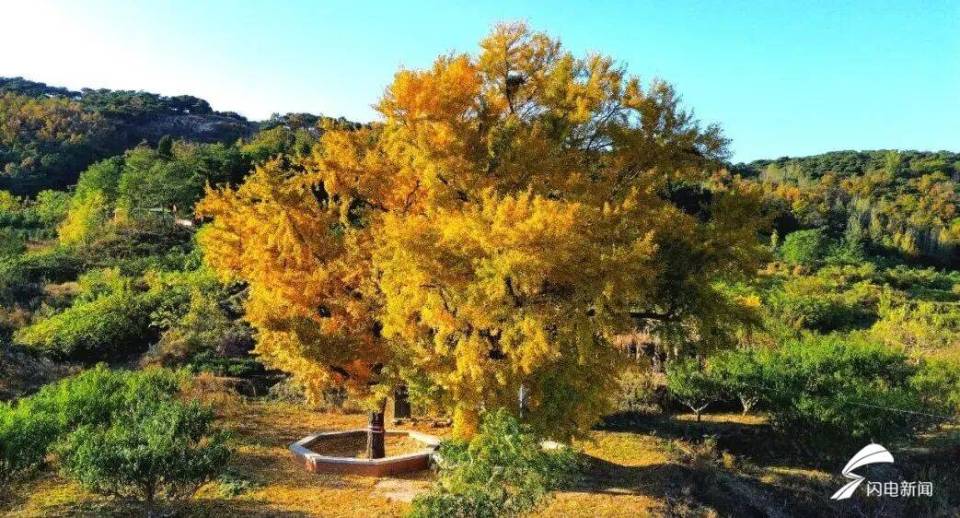 日照东港后村镇初冬限定!藏着最温柔的岁月痕迹