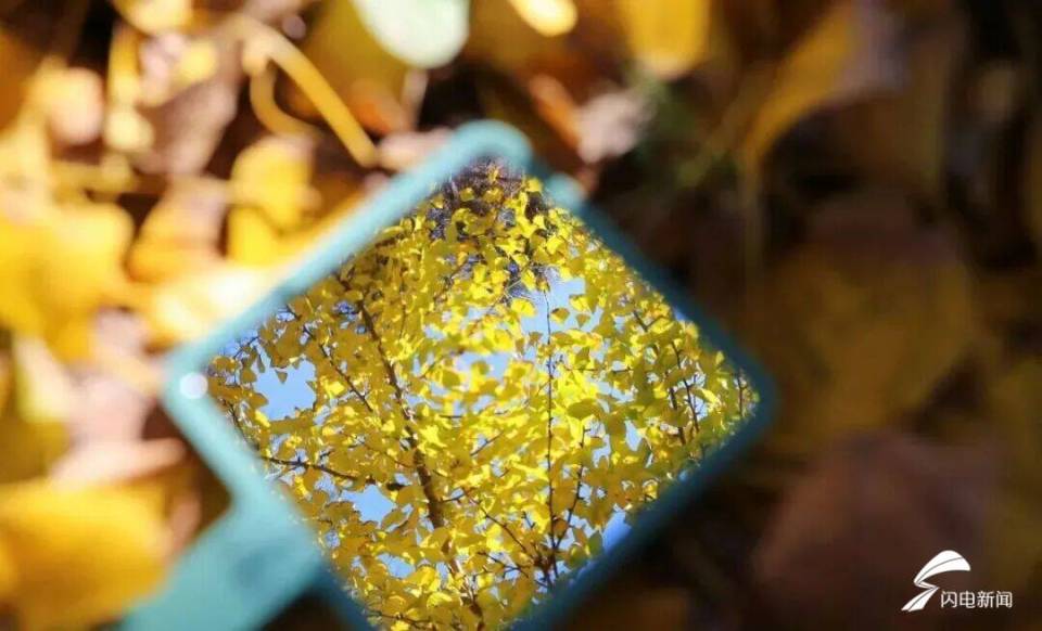 日照东港后村镇初冬限定!藏着最温柔的岁月痕迹