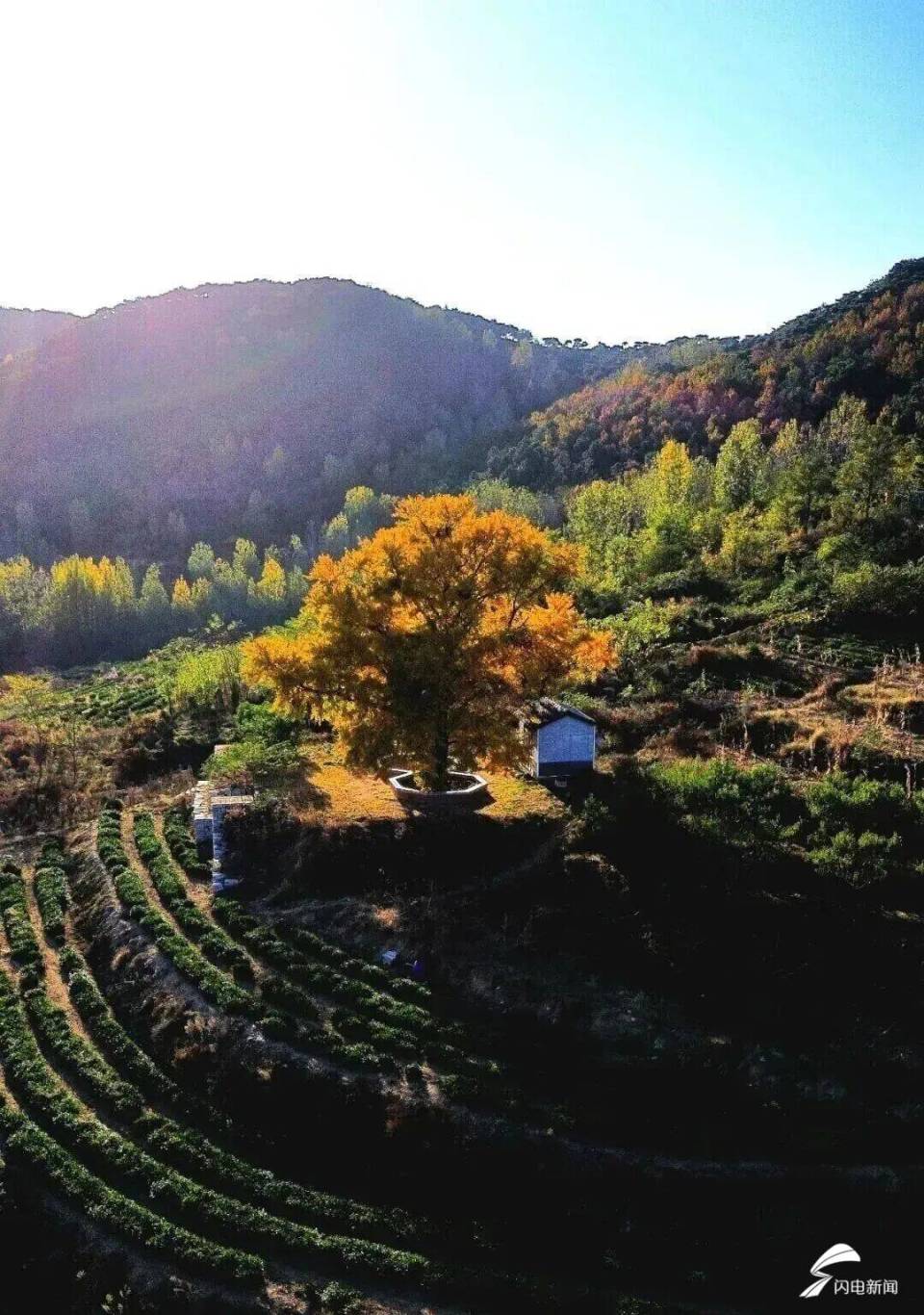 日照东港后村镇初冬限定!藏着最温柔的岁月痕迹