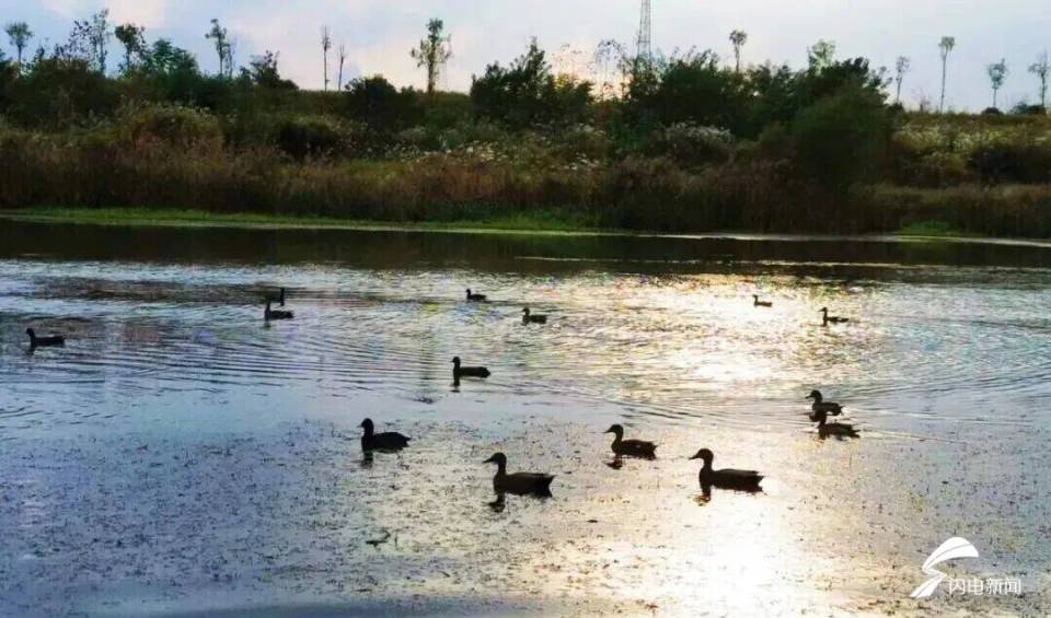 日照东港后村镇初冬限定!藏着最温柔的岁月痕迹