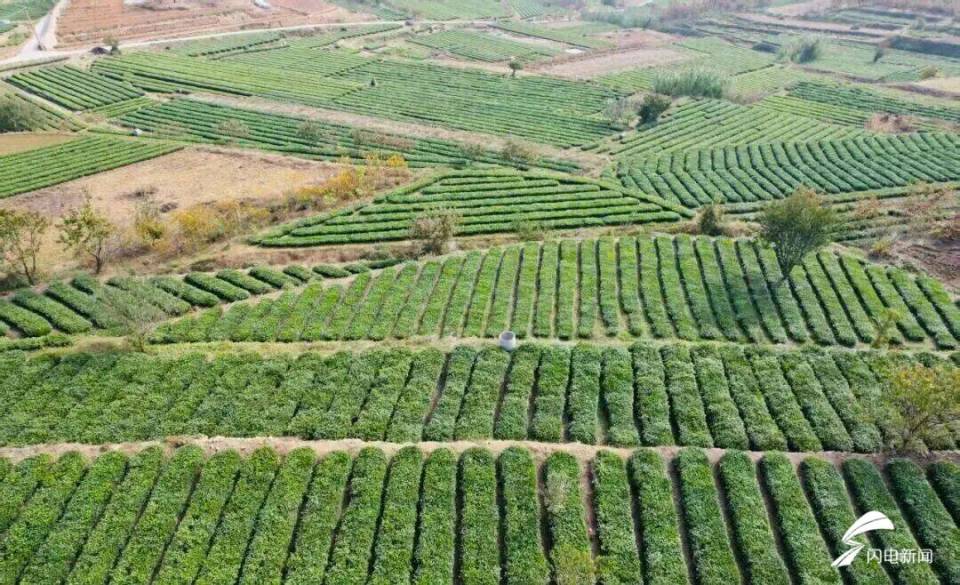 日照东港后村镇初冬限定!藏着最温柔的岁月痕迹