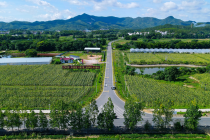 江西贛州：路衍新景 一路通百業興