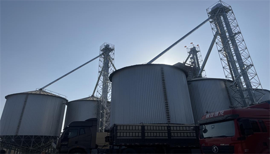 閒置資産煥新生 鄉村産業添動能_fororder_普蘭店廢棄資産