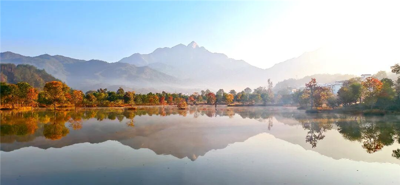 【圖集】湖北羅田:水上紅葉映蒼穹 柿裏牧歌話鄉愁