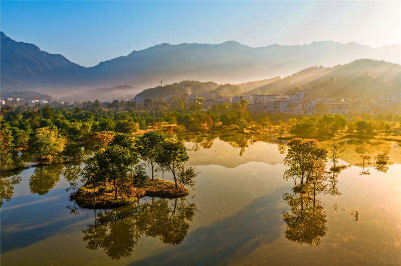 【圖集】湖北羅田:水上紅葉映蒼穹 柿裏牧歌話鄉愁