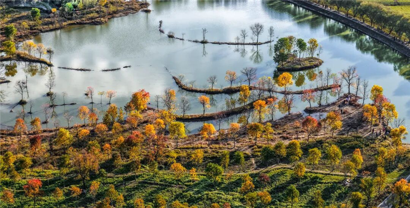 【圖集】湖北羅田:水上紅葉映蒼穹 柿裏牧歌話鄉愁