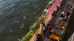 重庆：生态持续向好 红嘴鸥又来了