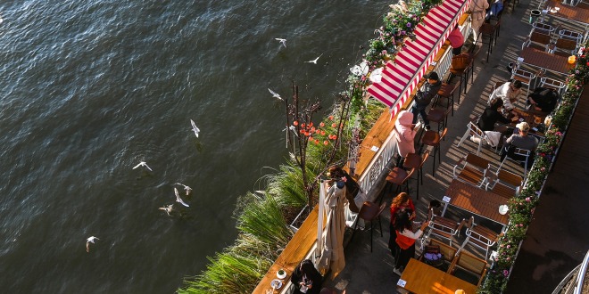 重慶：生態持續向好 紅嘴鷗又來了