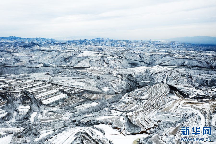 一场雪 让中原美成了这样！