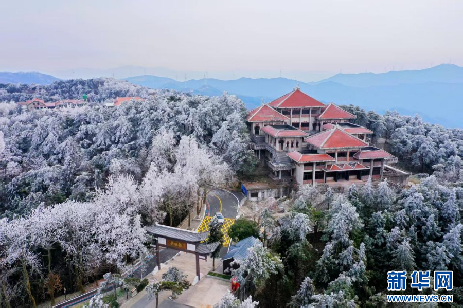 一场雪 让中原美成了这样！