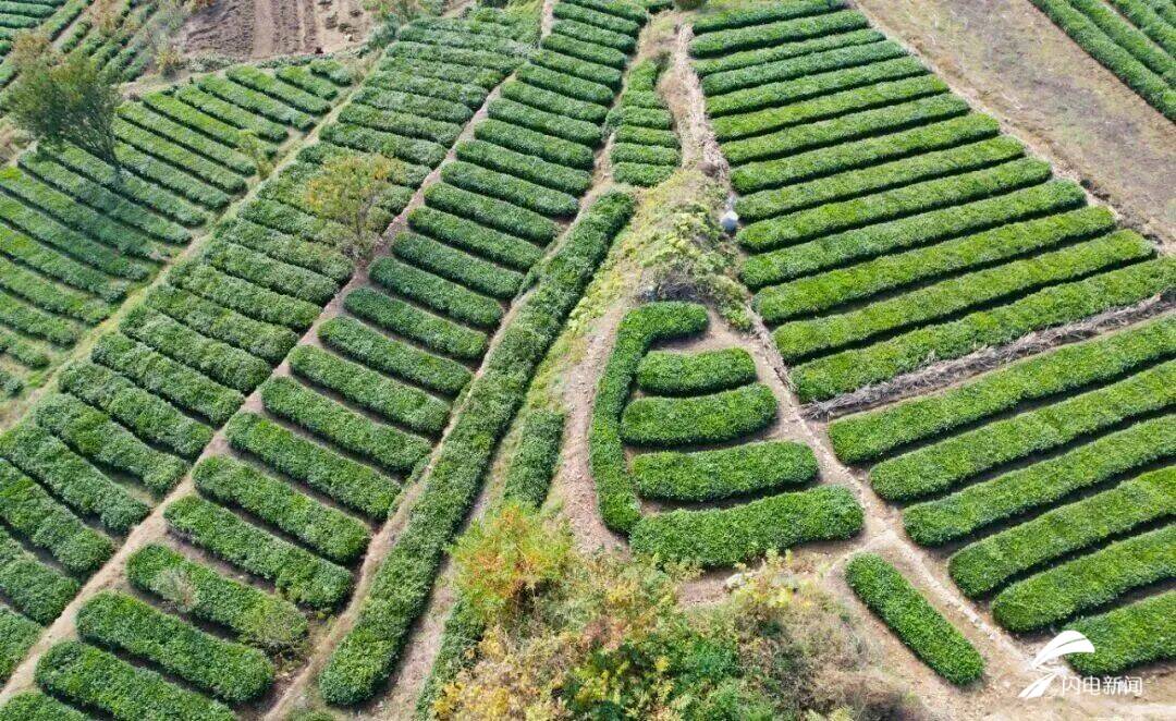 日照东港后村镇初冬限定！藏着最温柔的岁月痕迹