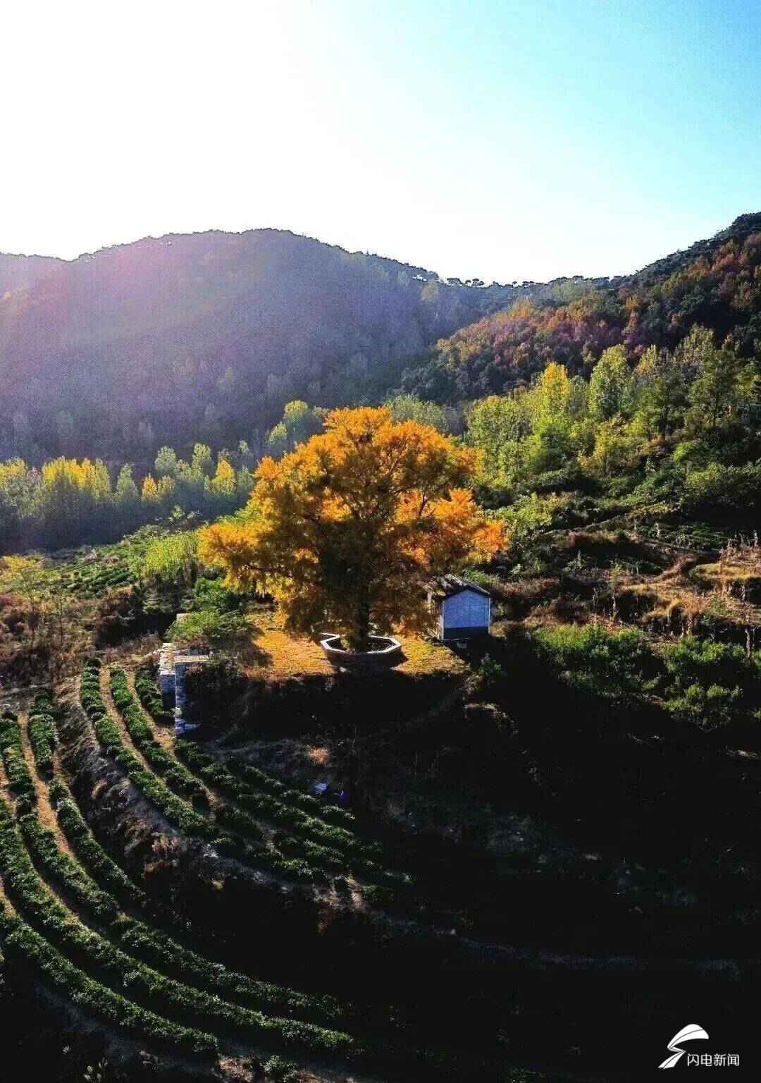 日照东港后村镇初冬限定！藏着最温柔的岁月痕迹