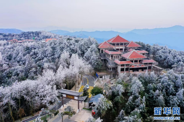 一場雪 讓中原美成了這樣!