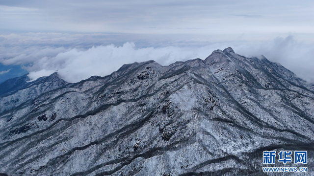 一場雪 讓中原美成了這樣!