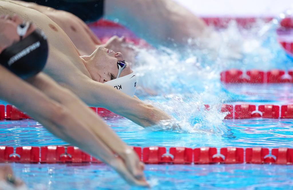 Ӿ2026Ӿ籭̤ϡ˿֮·