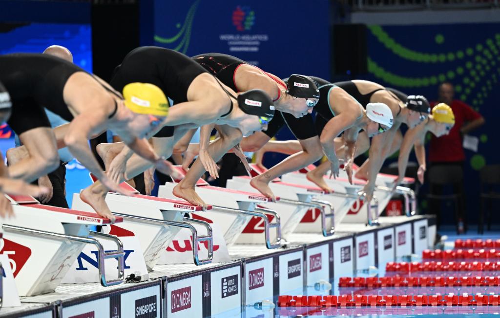 Ӿ2026Ӿ籭̤ϡ˿֮·