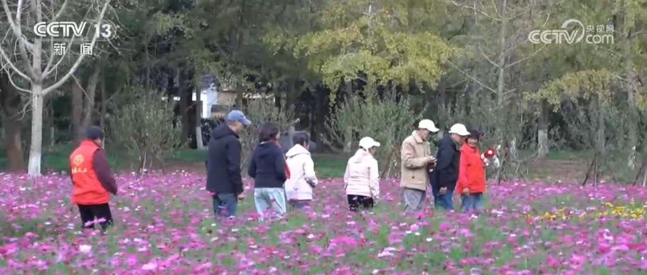 换新、升级、扩容，潜力释放！借助关键词多维度感知消费市场强劲活力