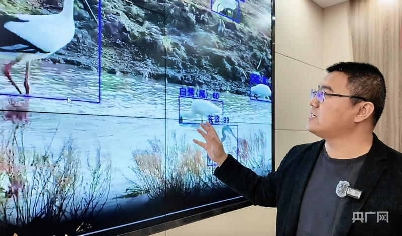 行进的海岸线｜从巡护车到“AI眼” 世界自然遗产南大港湿地的生态守护