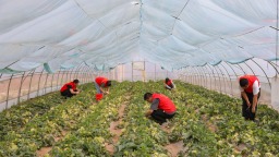 天水千户镇：拓展“信易+”应用场景 助力乡村振兴