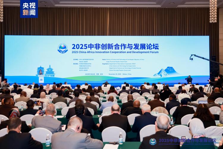 2025中非创新合作与发展论坛在武汉开幕